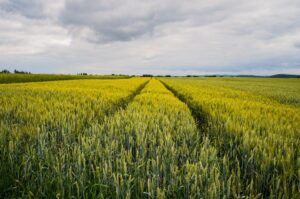 field-agri-germany