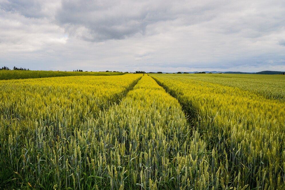 field-agri-germany